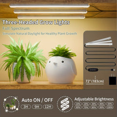 6-Tier Indoor Plant Stand with Grow Lights - 40" Metal Corner Shelf for Multiple Plants & Flowers