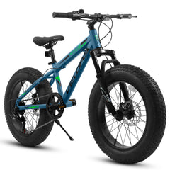V20235 20 Inch Fat Tire Bike 7 Speed Mountain Bike, Dual Disc Brakes, High Carbon Steel Frame, Front Suspension, Mountain Buggy, City Commuter City Bike, Fat Tire Bike