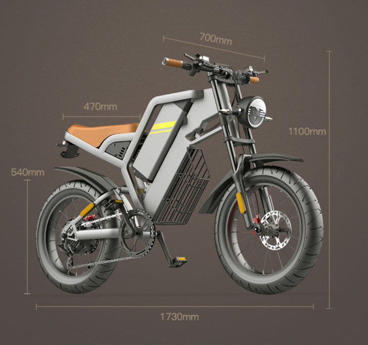 New Electric Bicycle With 20 Inch Large Tires And Seven Stage Transmission Assistance