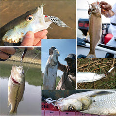 Fishing Lure Kit – Soft & Hard Bait Set | Minnow, Metal Jig, Spoon, Crankbait for Bass & Pike | Tackle Accessories with Box