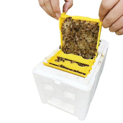 Queen Bee Rearing Kit – Foam Nuc Beehive Box Set for Mating & Pollination | Beekeeping Tools & Supplies