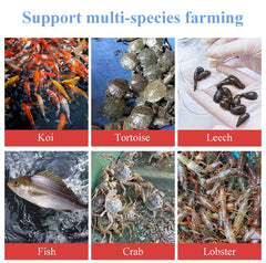 LVJU Foldable Fish Tank - 180 Gallon (680L) Round Plastic Pond for Fresh/Salt Water Breeding, 120cm Diameter x 60cm Height