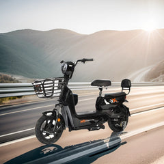 Chinese Wholesale Hot Sale Factory Sell Adult Popular Design Electric Bicycle