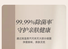 Hand-Held Ironing Machine | Portable Electric Iron for Home & Travel