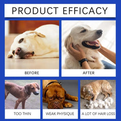 Dog Joint Supplement – Pet Joint Relief & Nutrition Solution for Healthy Mobility and Joint Support