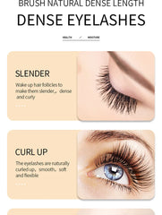 7 Day Eyelash Growth Serum Natural Curl Lengthen Beauty Health Volume & Thicken Eyelash Treatment Eyelash & Eyebrow Enhancer