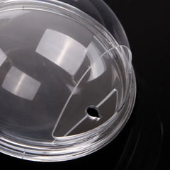 Pinsjar Acrylic Wall Hanging Fish Bowl – Wall-Mounted Aquarium Tank for Betta Fish | Aquatic Pet Supplies & Home Décor