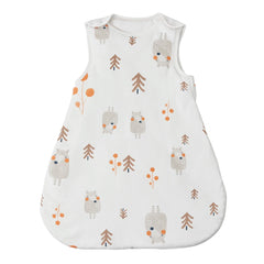 50153345483052|50153345515820|50153345548588