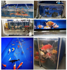 Vokanda Mini Complete Aquarium - 160 Gallon (610L) Betta & Koi Fish Tank, 3.3' x 3.3' x 2'