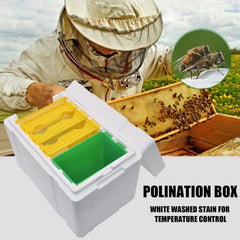 Queen Bee Breeding Box – Foam Bee Mating Hive Box for Beekeeper Garden Pollination | Bee Breeding Case & Beekeeping Equipment
