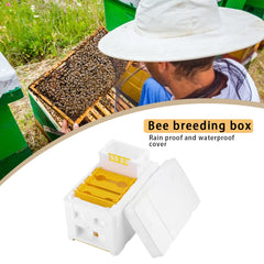 1–5PCS Beehive King Box – Beekeeping Nest Tool & Hive Frame Holder | Pollination Box for Queen Bees | Beekeeping Supplies