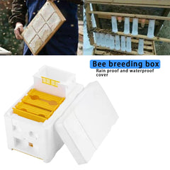 1–5PCS Beehive King Box – Beekeeping Nest Tool & Hive Frame Holder | Pollination Box for Queen Bees | Beekeeping Supplies