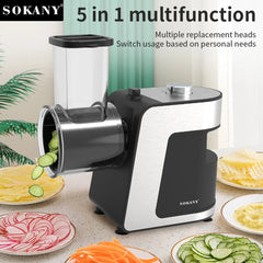 1000W 5-in-1 Electric Vegetable Chopper & Food Processor – Stainless Steel Multifunctional Slicer, Mixer & Cutter (220V)