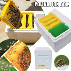 Queen Bee Breeding Box – Foam Bee Mating Hive Box for Beekeeper Garden Pollination | Bee Breeding Case & Beekeeping Equipment