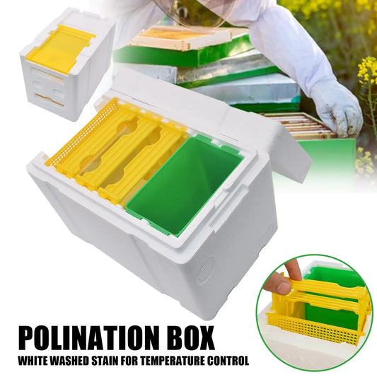 Queen Bee Breeding Box – Foam Bee Mating Hive Box for Beekeeper Garden Pollination | Bee Breeding Case & Beekeeping Equipment
