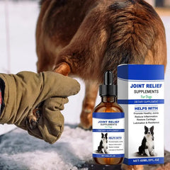 Dog Joint Supplement – Pet Joint Relief & Nutrition Solution for Healthy Mobility and Joint Support