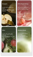 Smart Aroma Diffuser & Air Purifier – Digital Display, USB Rechargeable, 4 Gears, Wall Mount or Tabletop Essential Oil Humidifier