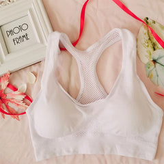 Women's Breathable Sports Bra – Shockproof, Padded, Seamless Gym & Yoga Bra for Running & Fitness