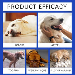 Dog Joint Supplement – Pet Joint Relief & Nutrition Solution for Healthy Mobility and Joint Support