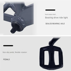 FJ&BDF 20-Inch Children's Mountain Bike – High Carbon Steel Frame, Lightweight with Shock Absorber & Double Disc Brakes | Outdoor Kids Bicycle