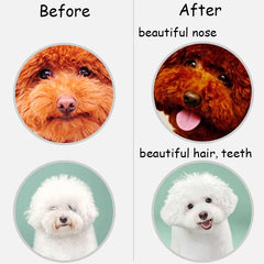 120 Capsules Pet Dogs Nutritional Supplements OMEGA3&6 Salmon Deep-sea Fish Oil Capsules Beauty Hair Anti-hair Loss