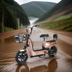 Chinese Wholesale Hot Sale Factory Sell Adult Popular Design Electric Bicycle