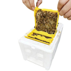 Queen Bee Breeding Box – Foam Bee Mating Hive Box for Beekeeper Garden Pollination | Bee Breeding Case & Beekeeping Equipment