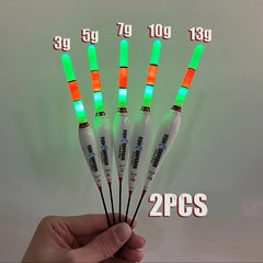 2PCS Night Fishing Electronic Float – Large Buoyancy LED Luminous Buoy | CR425 Battery | Summer Fishing Gear