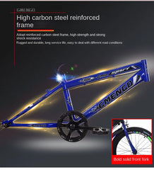 Chase New Children's 20 Inch Mountain Bike – For Boys Aged 6-10 Years | Primary School Bike | Bicicleta Infantil Menino