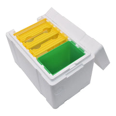 Queen Bee Breeding Box – Foam Bee Mating Hive Box for Beekeeper Garden Pollination | Bee Breeding Case & Beekeeping Equipment