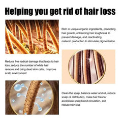 Hair Growth Oil – Effective Solution for Rapid Repair, Baldness, Postpartum Hair Loss & Hereditary Follicle Support