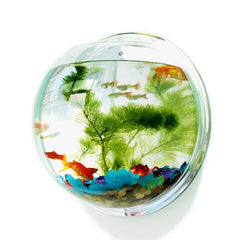 Pinsjar Acrylic Wall Hanging Fish Bowl – Wall-Mounted Aquarium Tank for Betta Fish | Aquatic Pet Supplies & Home Décor