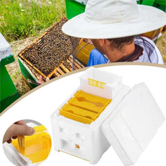 Bee Hive Foam Beekeeping Box – Insulated King Beehive Nest Case for Garden Apiculture | Durable Beekeeping Tool & Bee Box