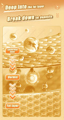 Fat Solution – Comprehensive Guide for Weight Loss, Flat Stomach, and Healthy Living