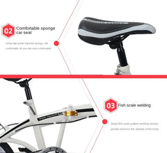 Motion 20-Inch Folding Bicycle – High Carbon Steel Frame, Anti-Skid Tires & Mountain Seat for Comfortable Riding