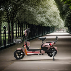 Chinese Wholesale Hot Sale Factory Sell Adult Popular Design Electric Bicycle