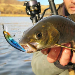 Fishing Lure Kit – Soft & Hard Bait Set | Minnow, Metal Jig, Spoon, Crankbait for Bass & Pike | Tackle Accessories with Box