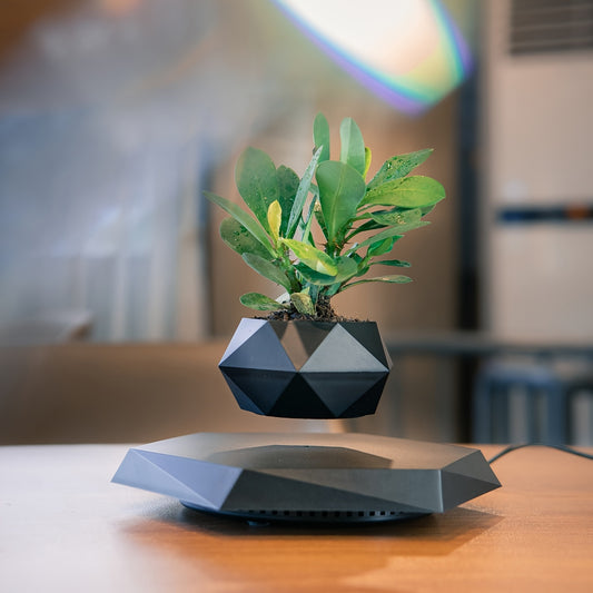 Modern Magnetic Levitating Bonsai Pot - Floating Hexagonal Plant Holder for Home & Wedding Decor