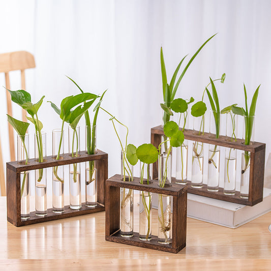 Creative Wooden Frame Hydroponic Plant Container Home Desktop Decorations