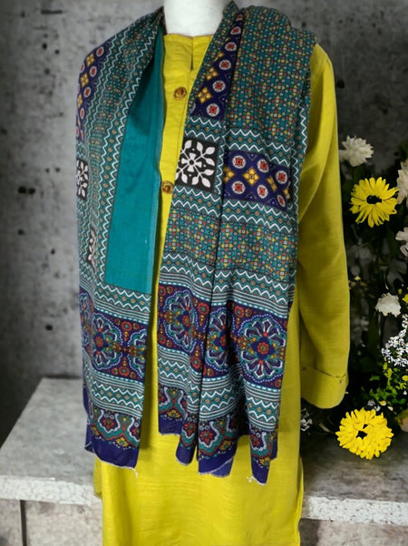 brand new ladies shawl with threadwork (best gift)