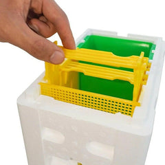 Queen Bee Breeding Box – Foam Bee Mating Hive Box for Beekeeper Garden Pollination | Bee Breeding Case & Beekeeping Equipment