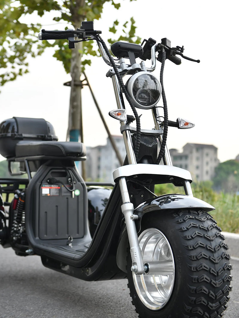 Adult Electric 3 Wheel Motorcycle 3000W Motor Max Load 250KG Max Speed 45KM/H Outdoor Electric Scooter For The Elderly