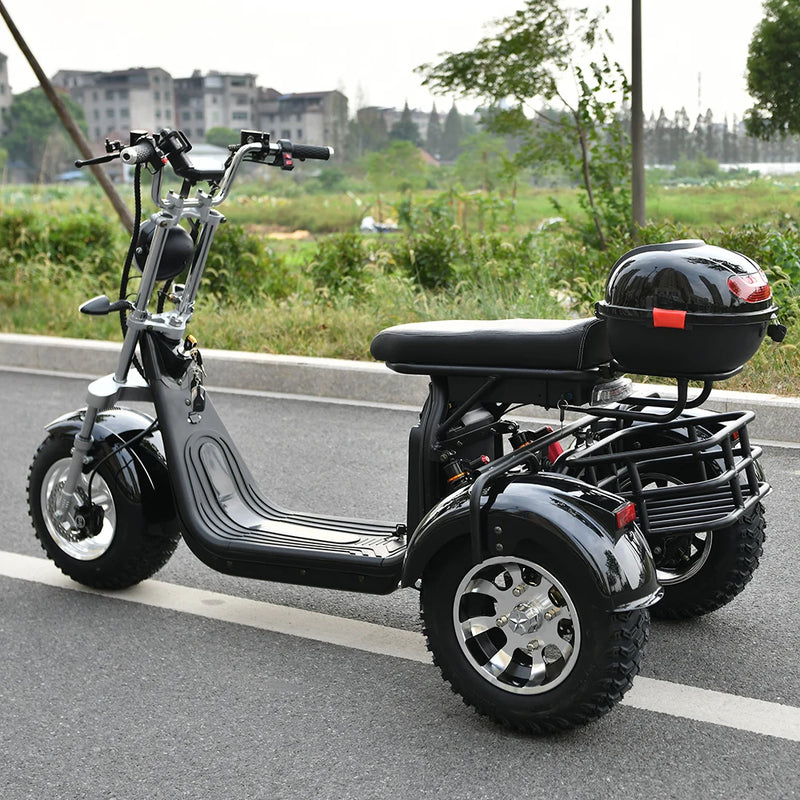 Adult Electric 3 Wheel Motorcycle 3000W Motor Max Load 250KG Max Speed 45KM/H Outdoor Electric Scooter For The Elderly