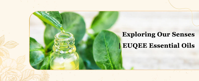 EUQEE 118ML Large Bottle Essential Oil For Humidifier Neroli Helichrysum Eucalyptus Jasmine Aroma Oil,DIY Soap,Massage,Fresh Air