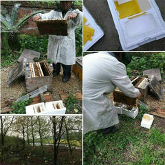 Queen Bee Rearing Kit – Foam Nuc Beehive Box Set for Mating & Pollination | Beekeeping Tools & Supplies