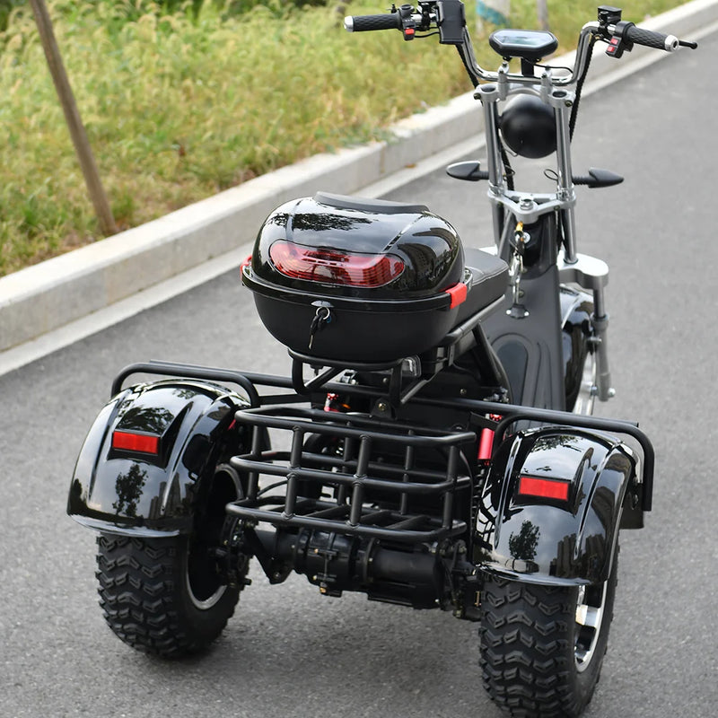 Adult Electric 3 Wheel Motorcycle 3000W Motor Max Load 250KG Max Speed 45KM/H Outdoor Electric Scooter For The Elderly