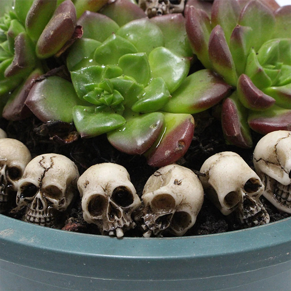 20Pcs Skull Head Sculptures Collectable Halloween Miniature Skulls Heads Decorative Creative Landscape Garden Potted Plant Decor