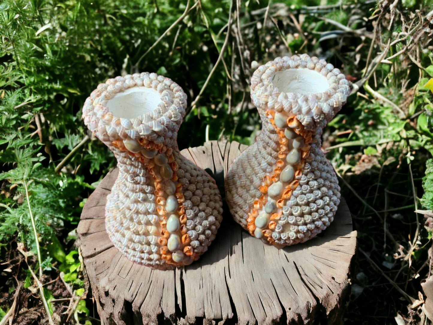 Handmade beautiful vase made from natural sea shells