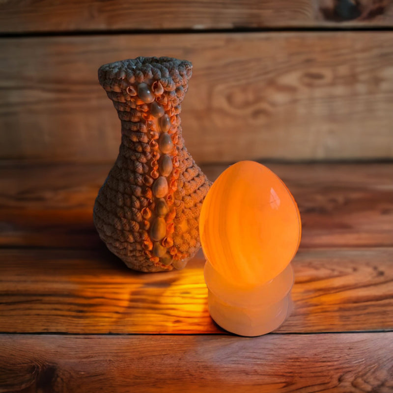 Handmade beautiful vase made from natural sea shells