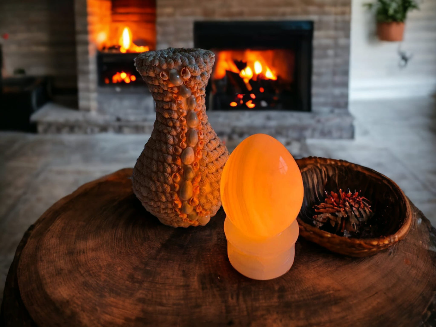 Handmade beautiful vase made from natural sea shells